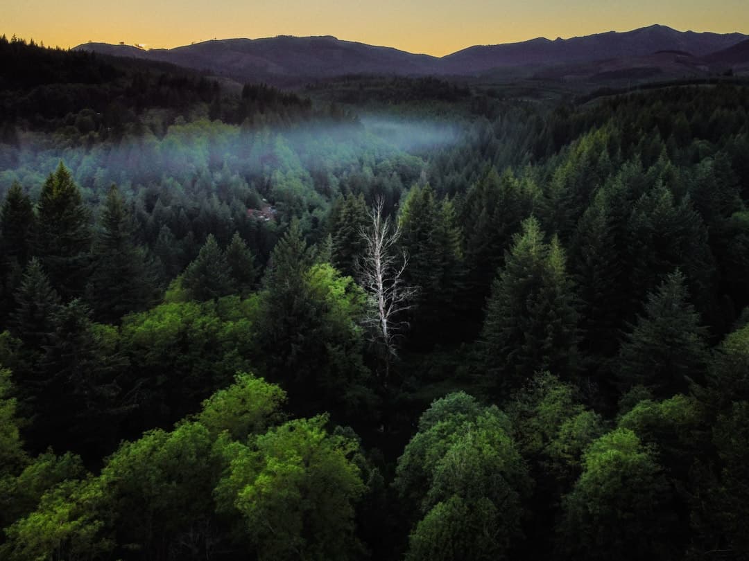 Drone photography — Washougal, WA