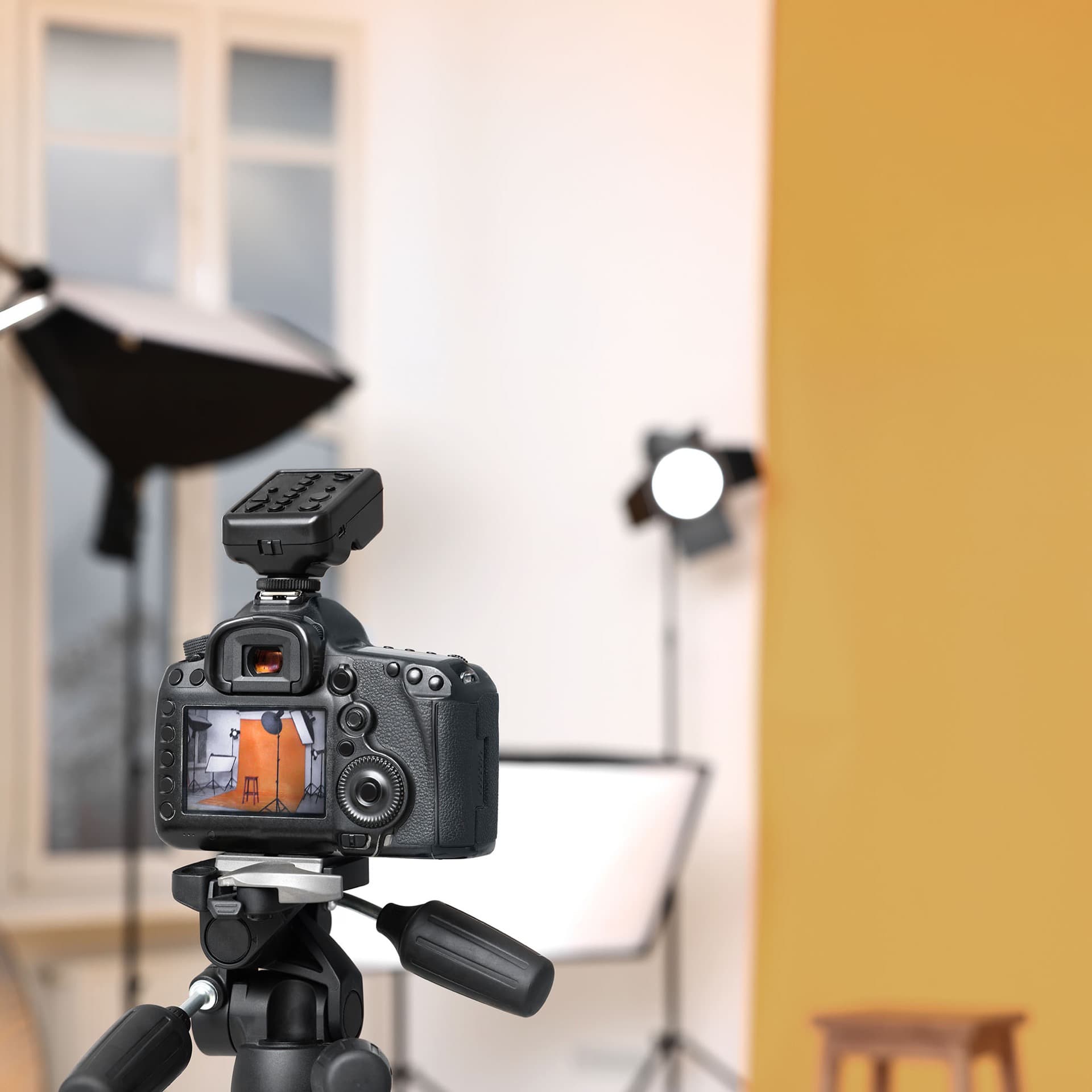 PTP headshot studio setup